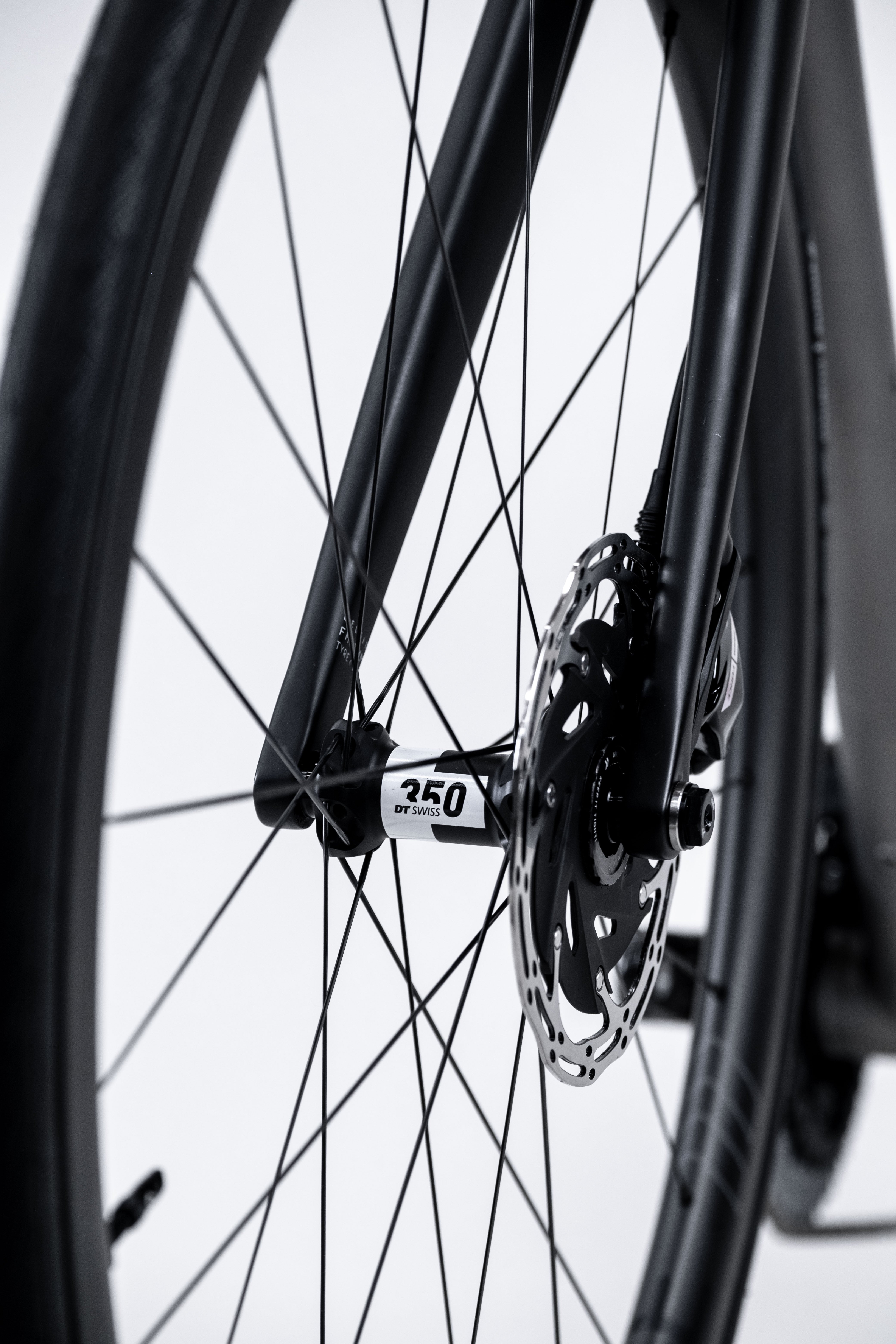 Curve Belgie DISC, titanium road bike headbadge