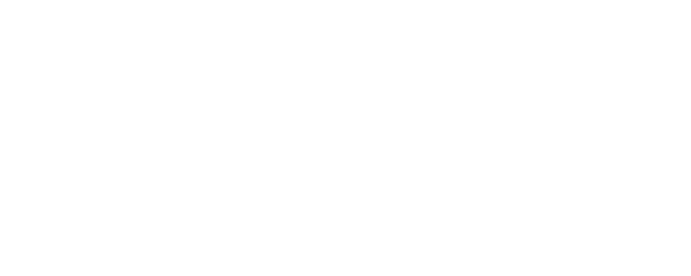 Dynaplug brand logo