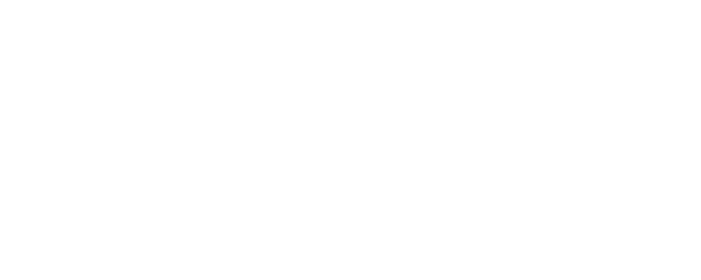 Fizik brand logo