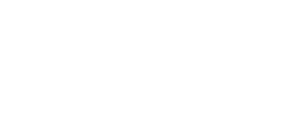 Lezyne brand logo