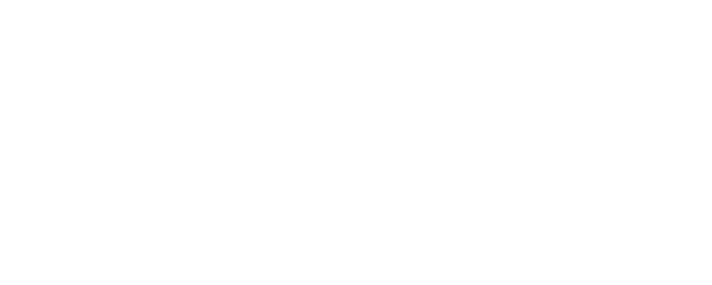 Santa Cruz brand logo