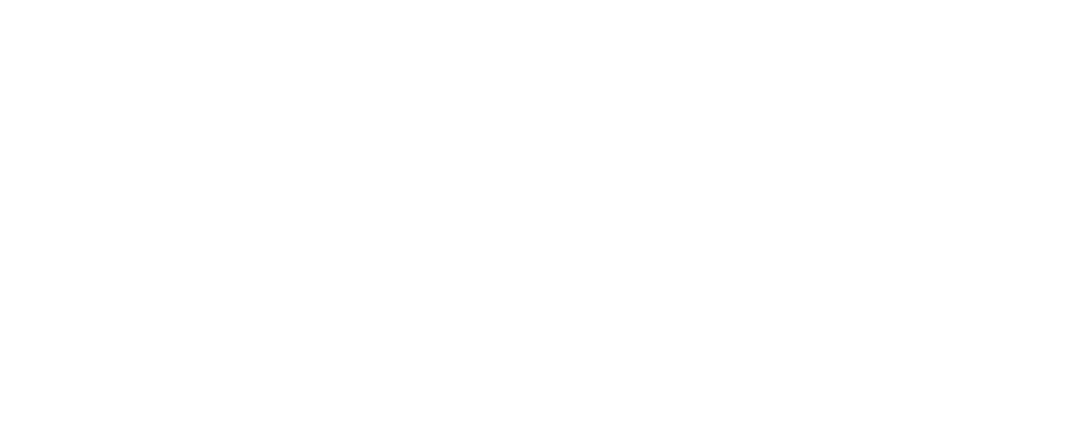 Sweet Protection brand logo