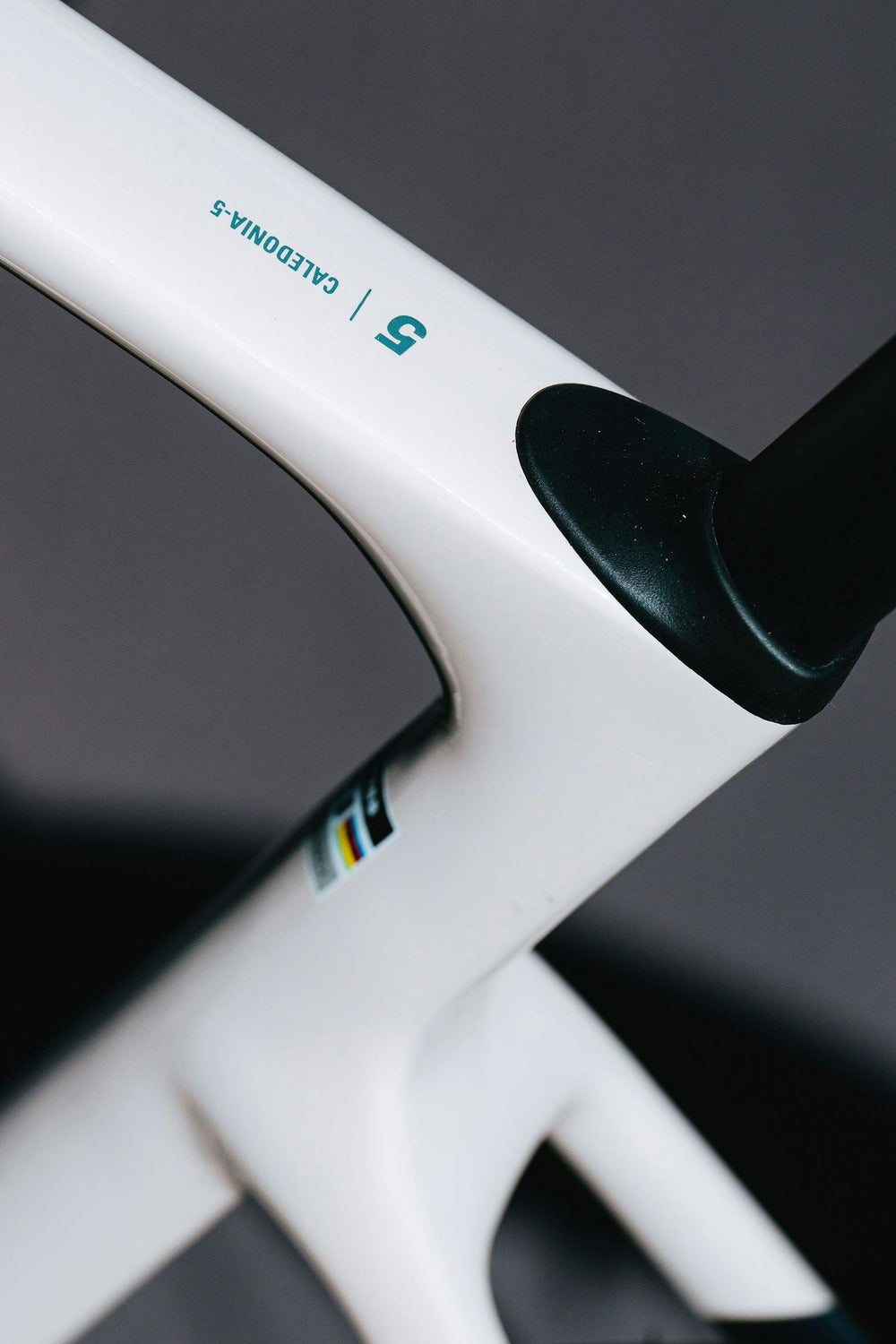 Cervélo Caledonia-5 dropped seat stays detail